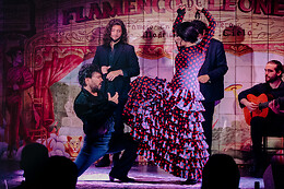 FLAMENCO DE LEONES