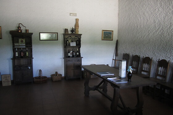 BODEGA VAL DE QUIROGA - photo 3