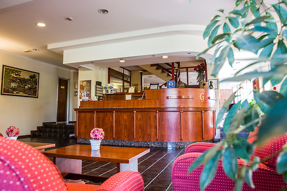 Hotel Galant - photo 4