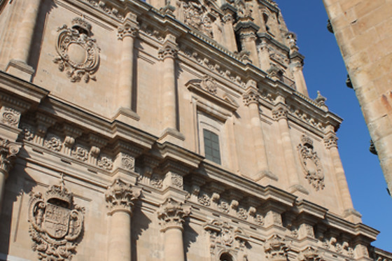 SALAMANCA ESPECTACULAR - photo 1