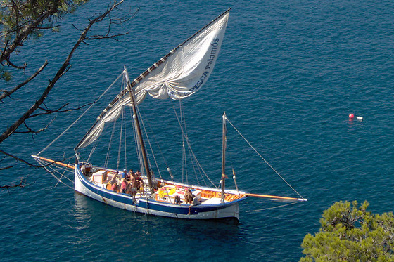TELA MARINERA - photo 0