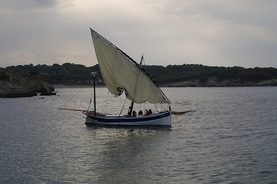 TELA MARINERA - photo 2
