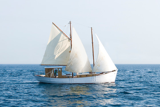 TELA MARINERA - photo 6