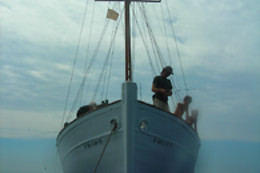 TELA MARINERA