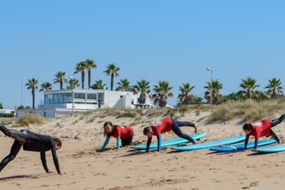 SOUTH COAST - photo 4
