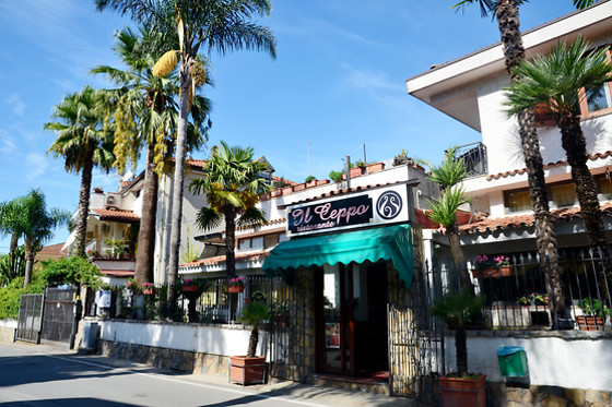 Il Ceppo - Ristorante Albergo - photo 3