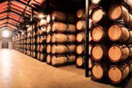BODEGAS BILBAINAS