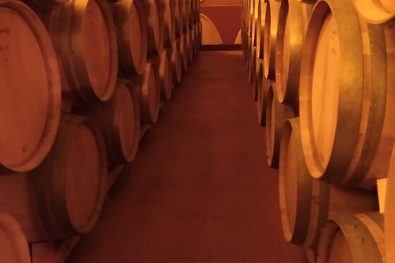 BODEGAS BILBAINAS - photo 5
