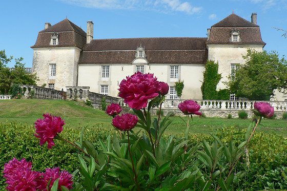 Château de Clauzuroux - photo 4