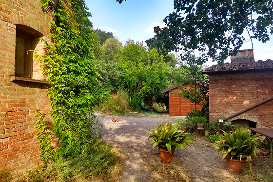 La Fanciullaccia - Bio B&B - photo 1