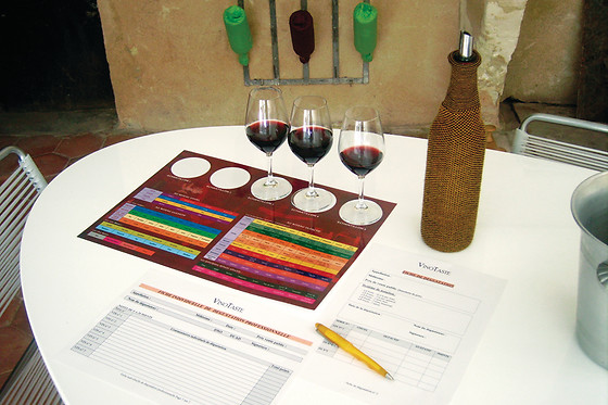 Vinotaste - photo 5