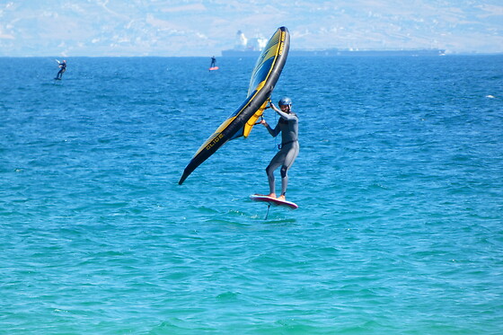 WINGS TARIFA - photo 13