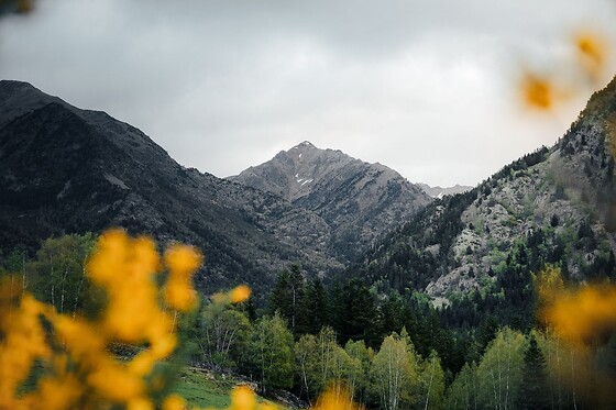 BORDES PIRINEU - photo 2