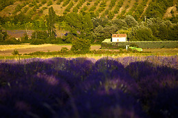HOTEL RURAL EL VALLE