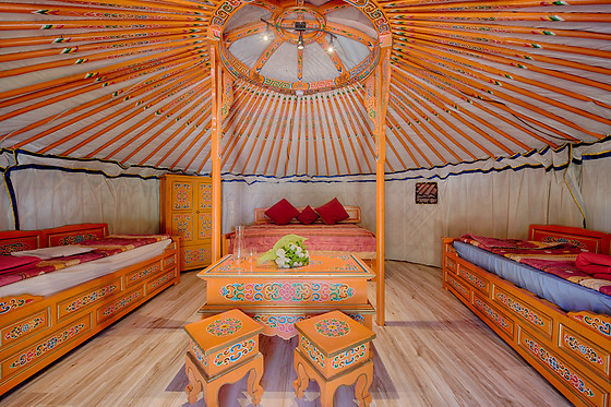 Defiplanet - photo 4