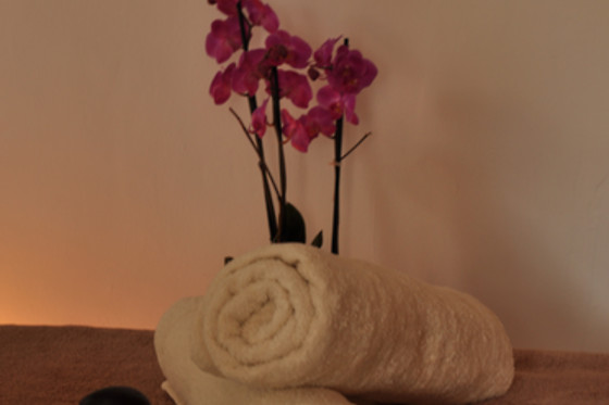 SONIA FRANCO TERAPIA MANUAL - photo 6