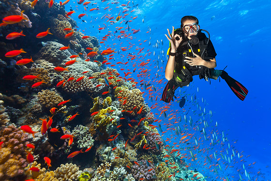 SOTACERO DIVING - photo 3