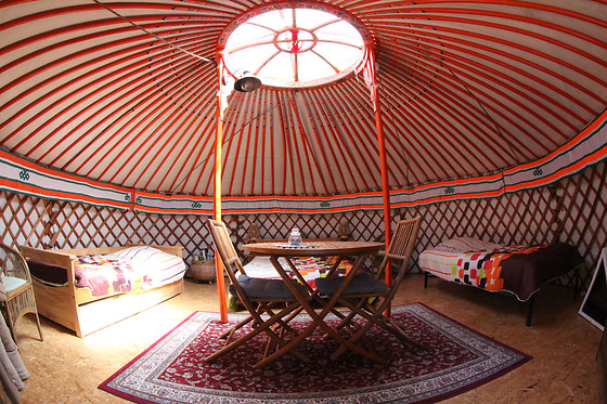 Natura lodge - photo 15