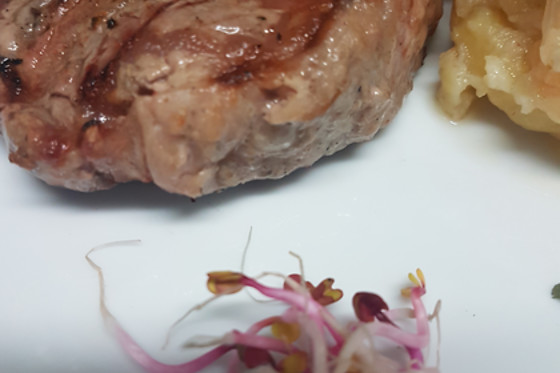 RESTAURANTE JARDINES LAS CONCHAS - photo 2