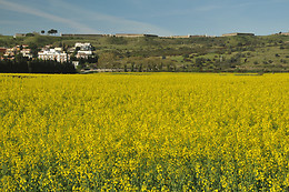 HOTEL EMPORDÀ