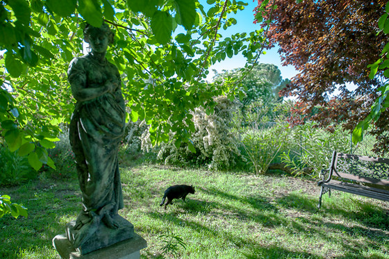 Villa Hanna - photo 3