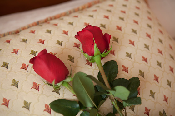 HOTEL RESTAURANTE EMILIO - photo 6