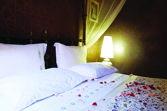 Samira Riads - photo 11