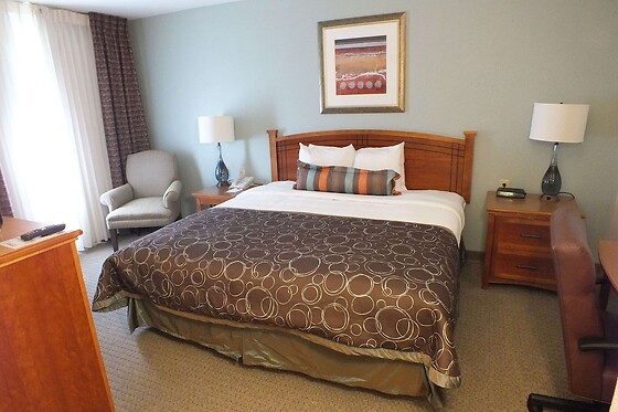 Online Booking EPS - photo 6