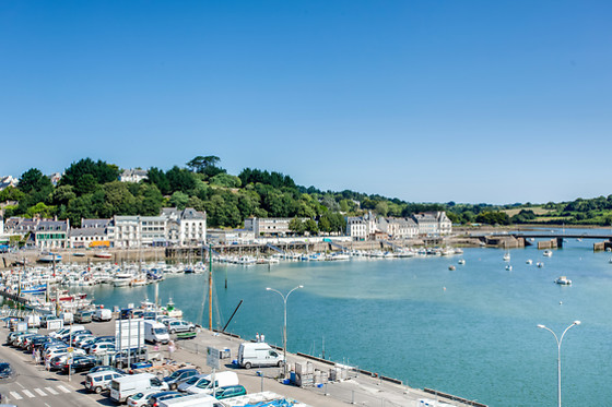 Le Goyen - photo 5