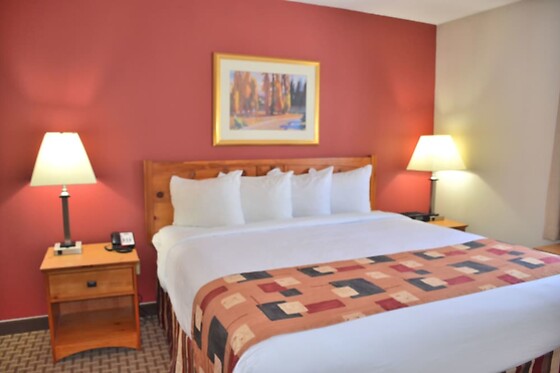 Online Booking EPS - photo 8