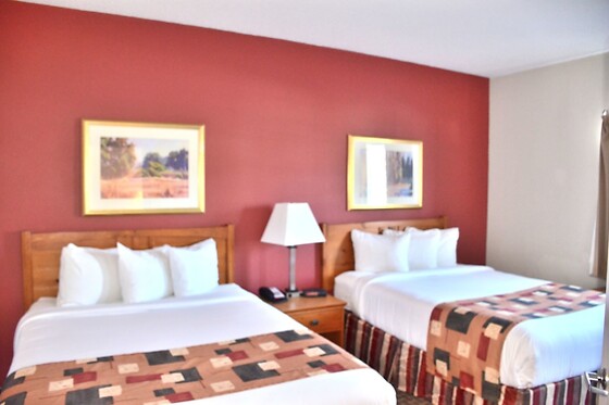 Online Booking EPS - photo 9
