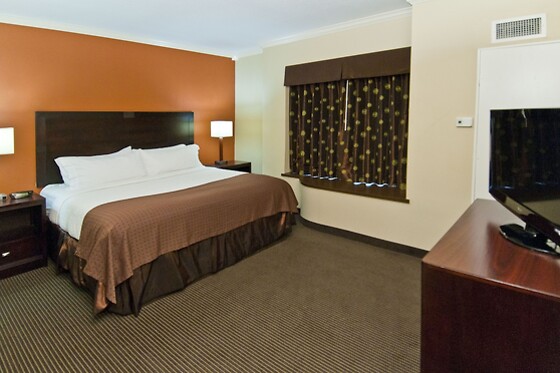 Online Booking EPS - photo 1