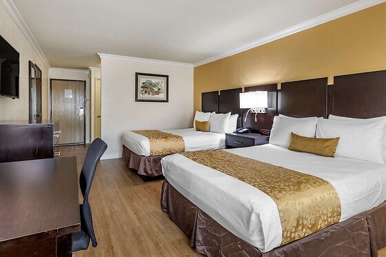 Online Booking EPS - photo 4
