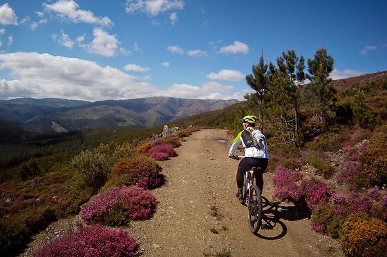 NaTour Way - photo 57