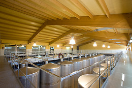 BODEGAS MARTÍN CÓDAX