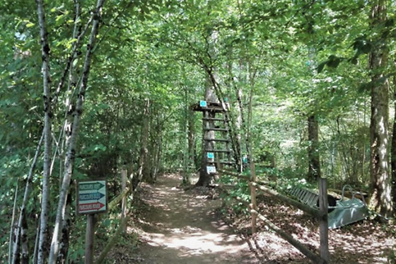 Rénac Aventure - photo 1