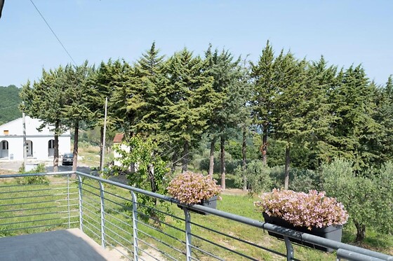B&B La Caruscia - photo 4