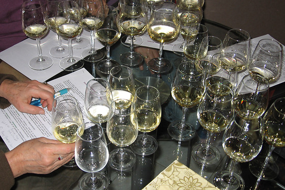 Agelasto catherine degustation - photo 0