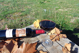 BODEGA EL MOSAICO DE BACO