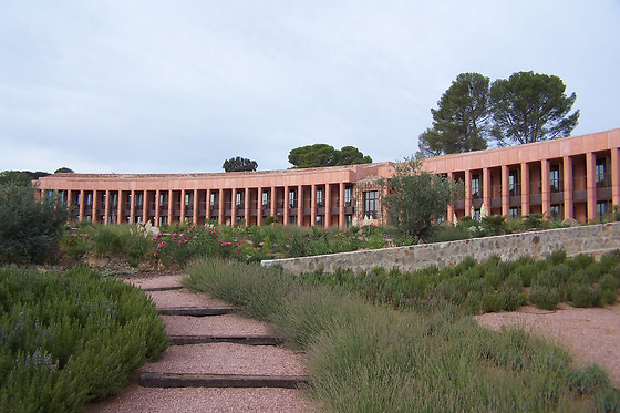 HOTEL CIGARRAL EL BOSQUE - photo 21