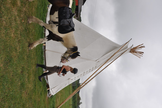 La ferme du domaine - photo 0