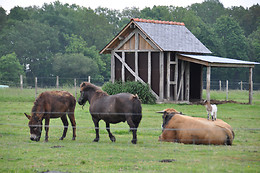 La ferme du domaine