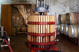 BODEGAS Y VIÑEDOS MAYO GARCIA