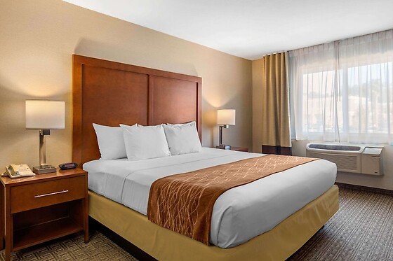 Online Booking EPS - photo 8