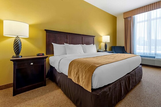 Online Booking EPS - photo 7