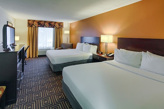 Online Booking EPS - photo 3