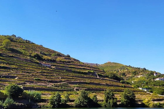 RENTDOURO - photo 1