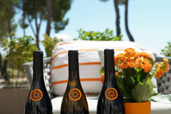 BODEGAS LOALTO - photo 4
