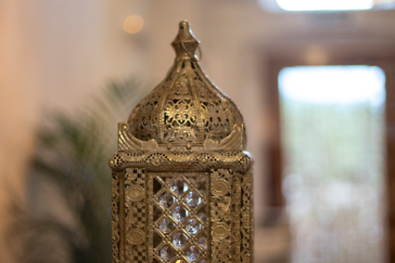 ALELLA ORGANIC SPA - photo 6