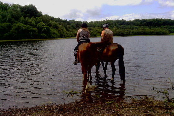 Ecuries Du Grand Chemin - photo 5